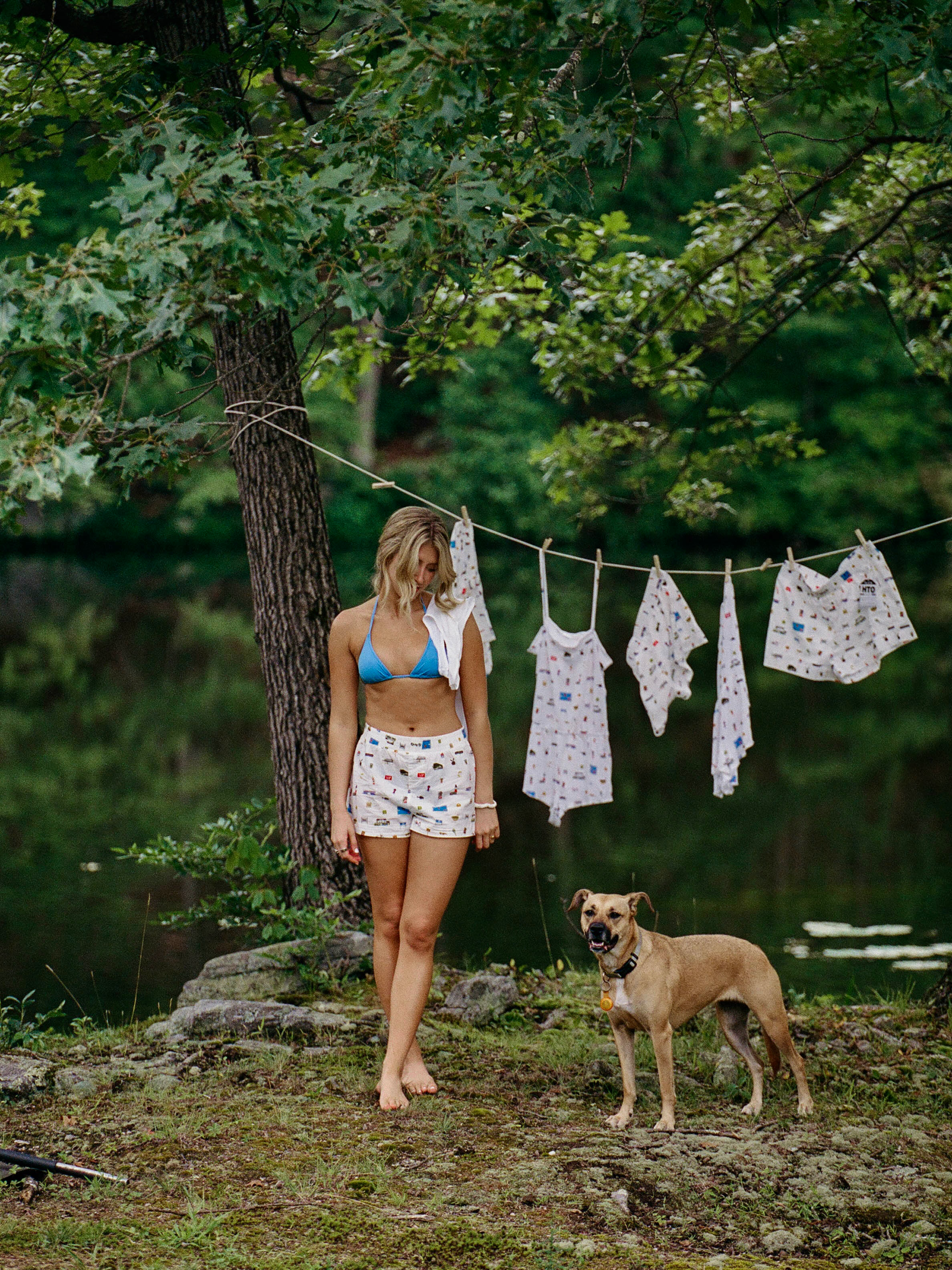 Hamptons Boxer
