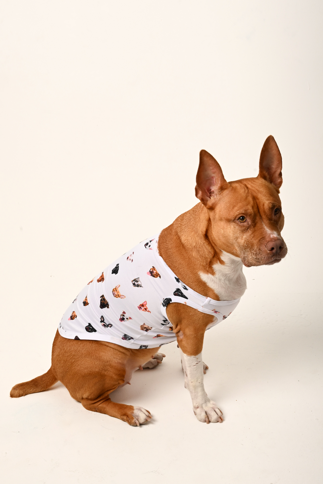 PREORDER Furever Dog Onesie