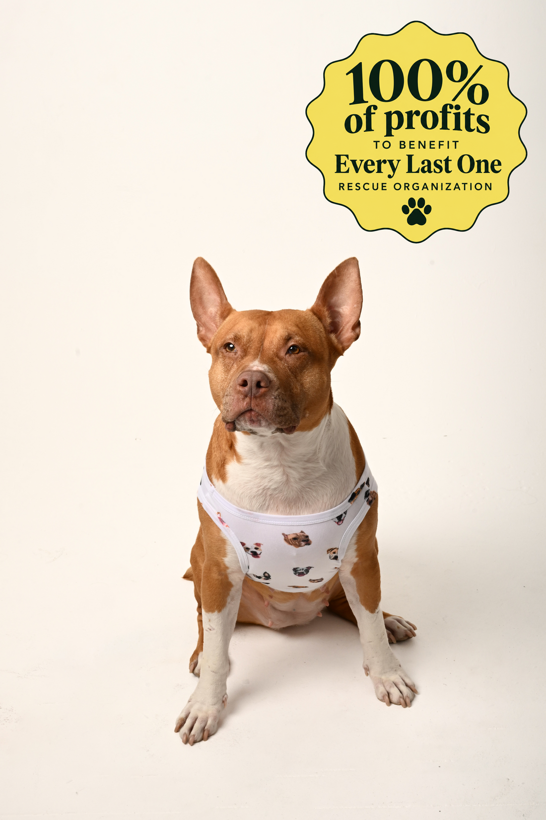 PREORDER Furever Dog Onesie